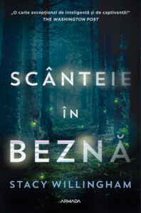 Scânteie în beznă, de Stacy Willingham