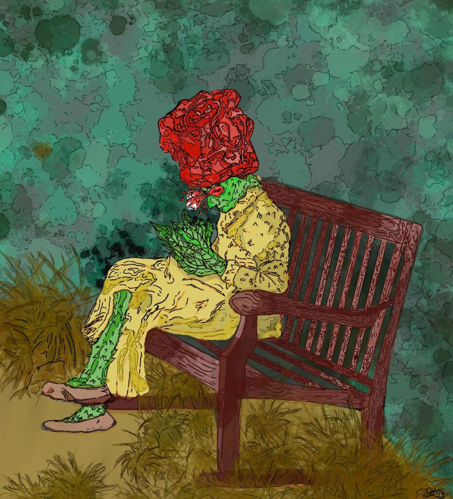 Sub lumina cerului înstelat